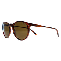 Polo Ralph Lauren Sunglasses 4110 501773 Havana Brown