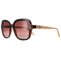 Karen Millen Sunglasses KM5048 102 Dark Tortoise Brown Gradient