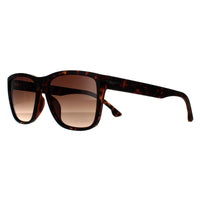 Police Sunglasses SPLB38 Tailwind 3 0738 Matte Dark Havana Brown Gradient