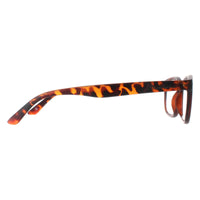 Montana Reading Glasses MP70A Turtle Men Women +1.00