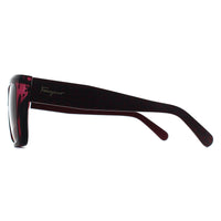 Salvatore Ferragamo Sunglasses SF1042S 525 Transparent Cyclamen Brown Gradient