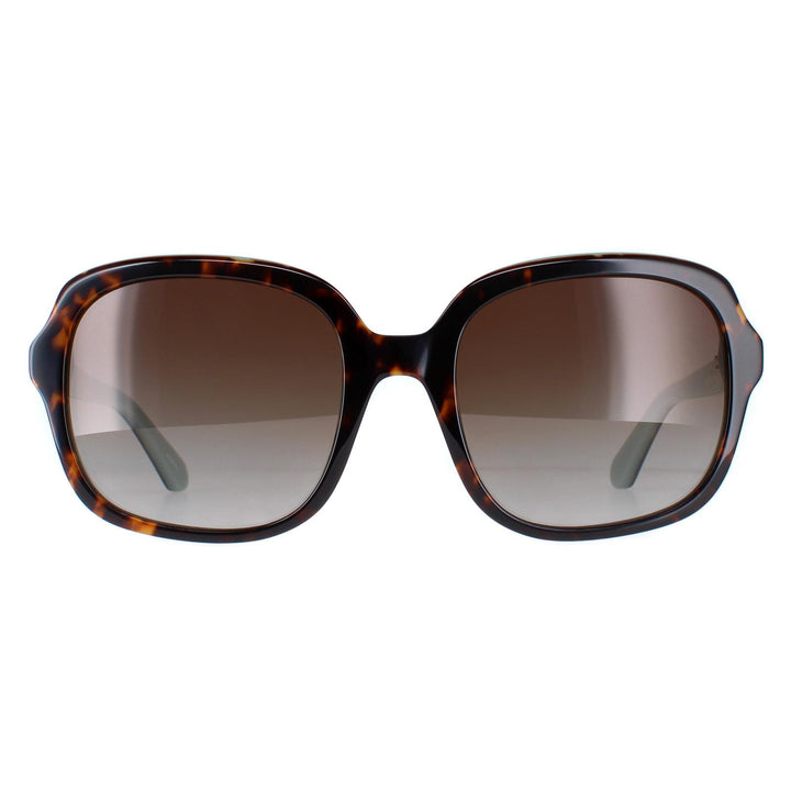 Kate Spade Babbette/G/S Sunglasses Havana Brown Gradient Polarized