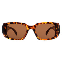 Atum Sunglasses Nyx C2 Shiny Havana Brown