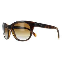 Ray-Ban Sunglasses RB4216 710/T5 Tortoise Brown Gradient Polarised