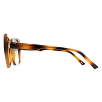 Ted Baker Sunglasses TB1640 Margo 136 Havana Brown Gradient
