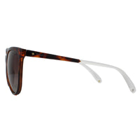 Polaroid Sunglasses PLD 4058/S 086 LA Havana Brown Brown Gradient Polarized