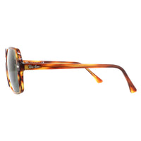 Ray-Ban Sunglasses RB1973 954/31 Striped Havana Green Classic G-15