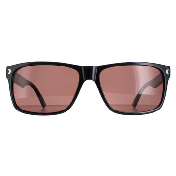 Duck and Cover Sunglasses DCS026 C1 Black Brown