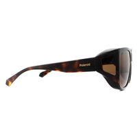 Polaroid Suncovers Sunglasses PLD 9016/S 086 HE Havana Brown Copper Polarized