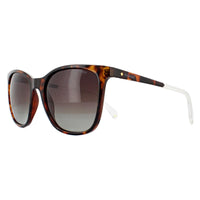 Polaroid Sunglasses PLD 4059/S 086 LA Dark Havana Brown Polarized