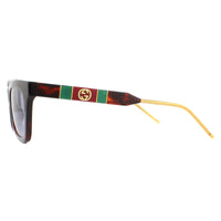 Gucci Sunglasses GG0598S 002 Dark Havana and Gold Blue