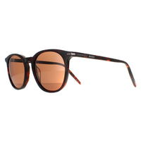 Serengeti Sunglasses Arlie 8937 Shiny Dark Havana Mineral Polarized Drivers
