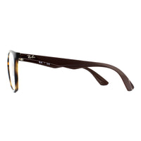 Ray-Ban Glasses Frames RB7066 5577 Shiny Havana 52mm