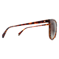 Polaroid Sunglasses PLD 4066/S 086 LA Dark Havana Brown Polarized