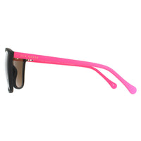 Ted Baker Sunglasses TB1443 Perry 001 Black and Pink Brown Grey