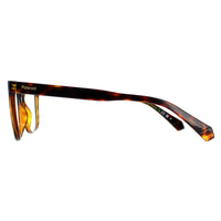 Polaroid Glasses Frames PLD D511 086 Havana Women