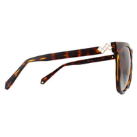 Polaroid Sunglasses PLD 4062/S/X 086 LA Dark Havana Brown Polarized