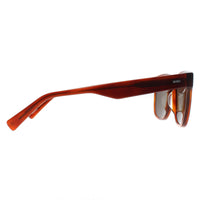 Banana Republic Sunglasses BR 4008/S C9B 70 Havana Honey Brown