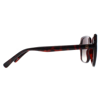 Smarty Sunglasses X2110 B Warm Demi Brown Tortoise Brown
