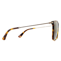 Police Sunglasses SPL572N Avenue 2 1GZV Shiny Light Havana Green