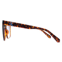 Calvin Klein Sunglasses CKJ22608S 240 Havana Blue Gradient