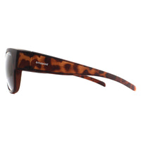 Polaroid Suncovers Sunglasses PLD 9003/S MQU IG Havana Brown Polarized