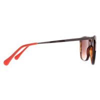 Radley Sunglasses Romala 102 Tortoise Brown