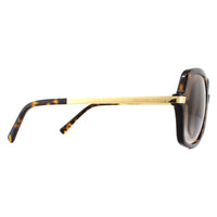 Michael Kors Sunglasses Adrianna II 2024 310613 Dark Tortoise Gold Brown Gradient
