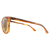 Ray-Ban Sunglasses CATS 1000 4126 820/3K Striped Brown Brown Brown Silver Mirror