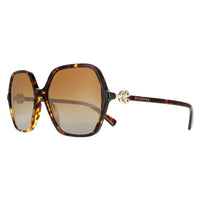 Bvlgari Sunglasses BV8238B 504/T5 Havana Brown Gradient Polarized