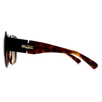 Longchamp Sunglasses LO713S 230 Havana Brown Gradient