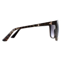 Karen Millen Sunglasses KM5034 115 Havana Grey