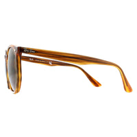 Ray-Ban Sunglasses RB4306 820/73 Striped Red Havana Dark Brown