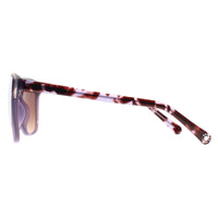 Radley Sunglasses Ottoline 161 Purple Brown