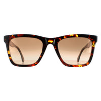 Paul Smith Sunglasses PSSN055 Durant 02 Havana Brown Gradient
