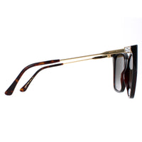 Jimmy Choo Sunglasses Seba/S 086/HA Dark Havana Brown Gradient