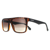 Carrera Sunglasses 5039/S 2OS HA Havana Matte Black Brown Gradient