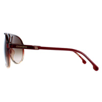 Carrera Sunglasses Champion 65/N 7W5/HA Burgundy Shade Brown Gradient