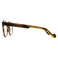 Moncler Glasses Frames ML5037 055 Coloured Havana Men Women