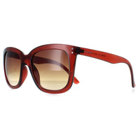 Calvin Klein Sunglasses CK22550S 210 Transparent Brown Brown Gradient