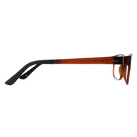 INVU Glasses Frames B4426 D Matte Frosty Amber Women