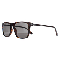 Police Sunglasses SPLE05M 0722 Dark Havana Grey Green