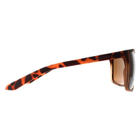 Dragon Sunglasses Montage 40734-246 Matte Tortoise Bronze