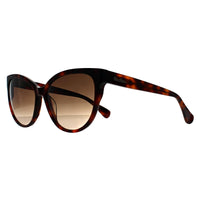 Max Mara Sunglasses MM0058 Logo 13 52F Dark Havana Brown Gradient