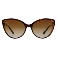 Bvlgari Sunglasses BV8246B 5496T5 Havana Brown Transparent Brown Gradient Polarized