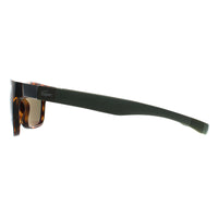Lacoste Sunglasses L737S 214 Havana Green