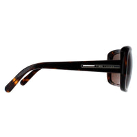 Prada Sunglasses PR19LS 2AU8C1 Havana Brown