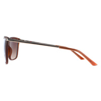 Elle Sunglasses 14880 BR Matte Brown Brown Gradient