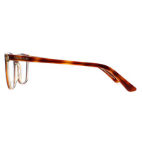 Calvin Klein Glasses Frames CK20509 241 Brown Tortoise Men Women