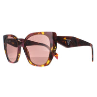 Prada Sunglasses PR19ZS 18N10D Tortoise Cognac Begonia Light Brown